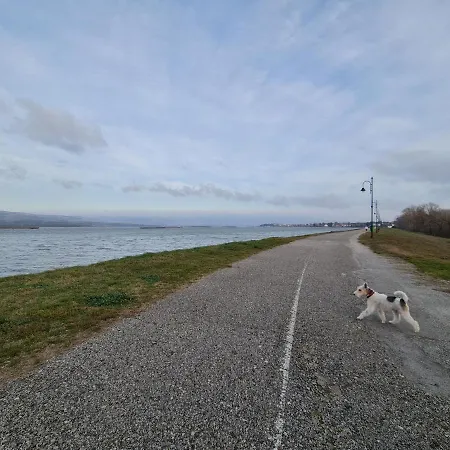 Andjelka A26 Silver Lake, Srebrno Jezero, *