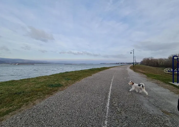 Andjelka A26 Silver Lake, Srebrno Jezero, *